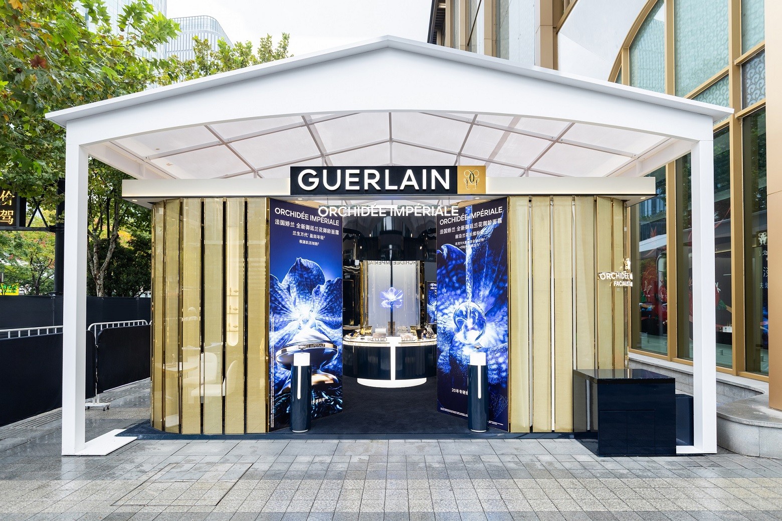 Ʒƴʹս̩ Я͢ϵУ֮