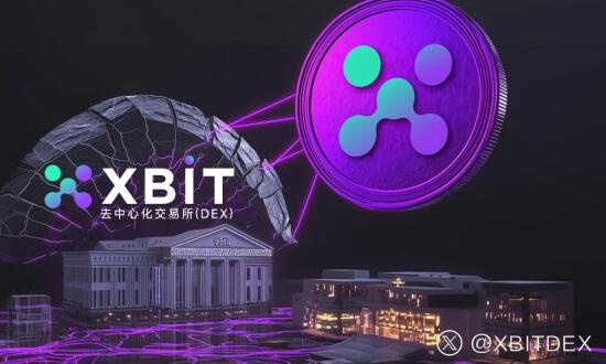 ܻҸܸ˽׷£XBITƽ̨ͶȽӦ