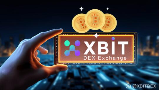 Analysis of Bitcoin market and XBIT features: Anonymity, anti-censorship and low-cost transactions drive the market
