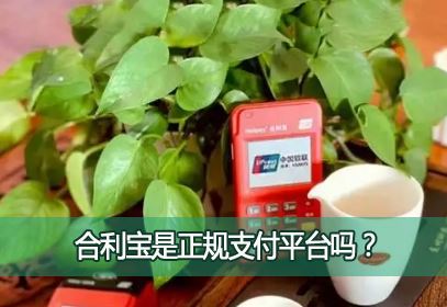 ������������֧��ƽ̨�𣿺������Ƿ�ӵ������Ϸ���֧�����գ�